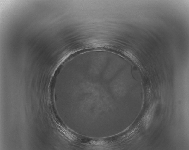 X0000059841023200510281819