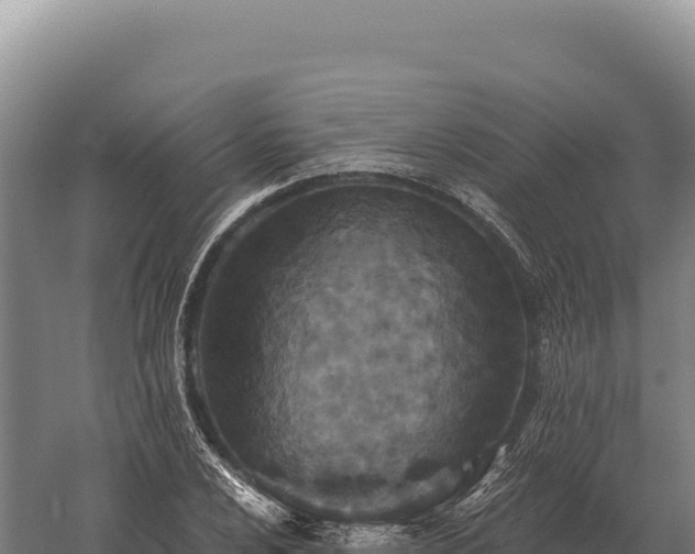 X0000059841024200510281819