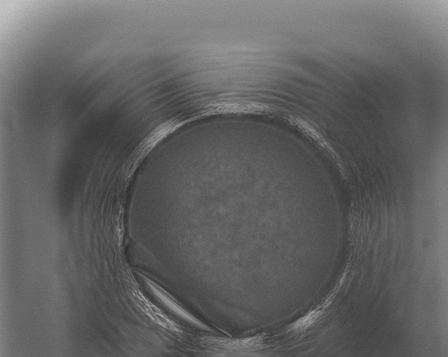 X0000059841025200510281819