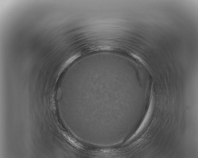 X0000059841026200510281819