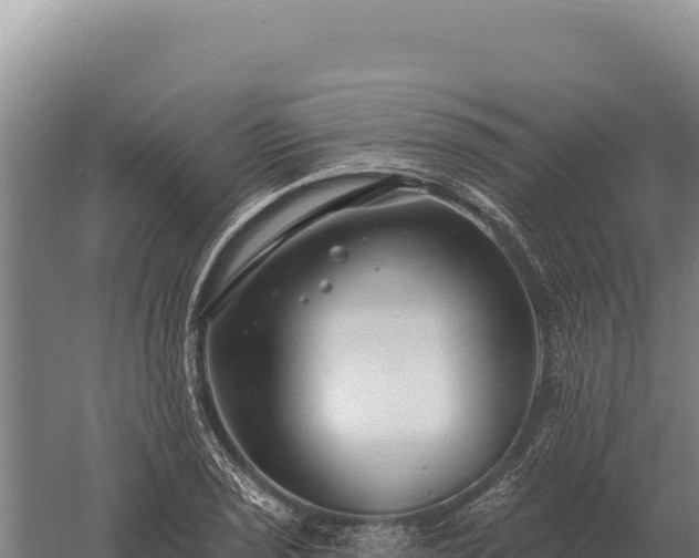 X0000059841029200510281819