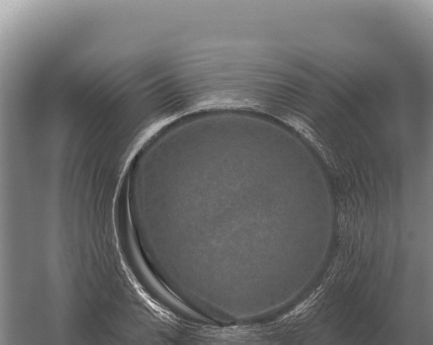 X0000059841030200510281819