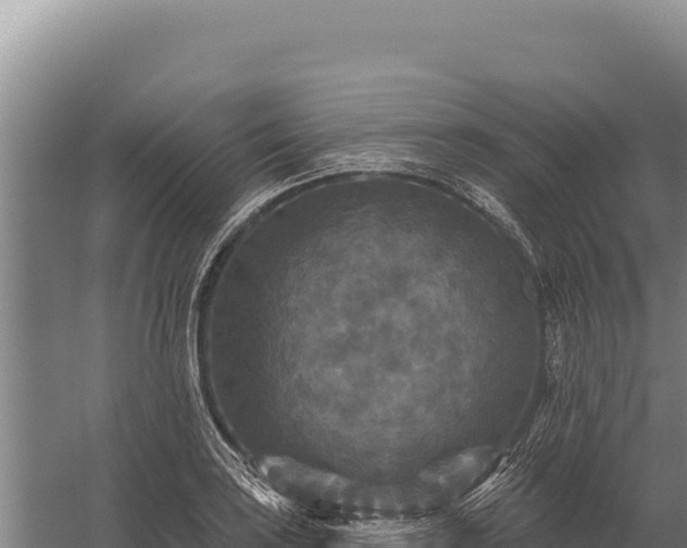 X0000059841035200510281819