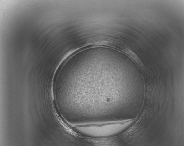 X0000059841036200510281819