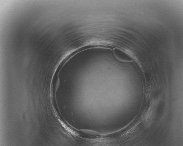 X0000059841037200510281819