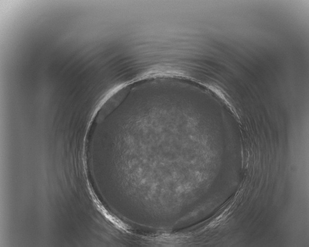 X0000059841038200510281819