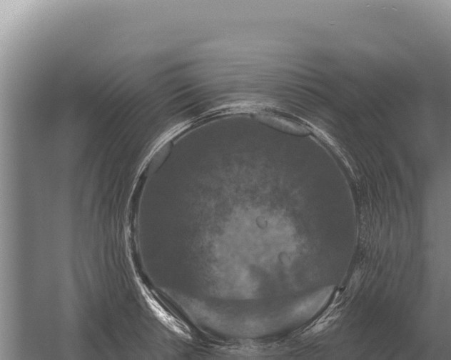 X0000059841042200510281819