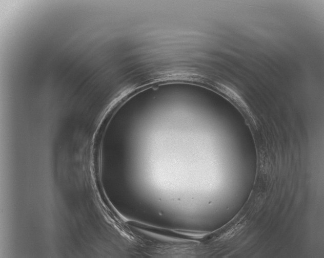 X0000059841043200510281819