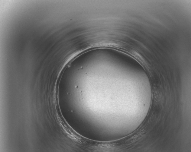 X0000059841044200510281819