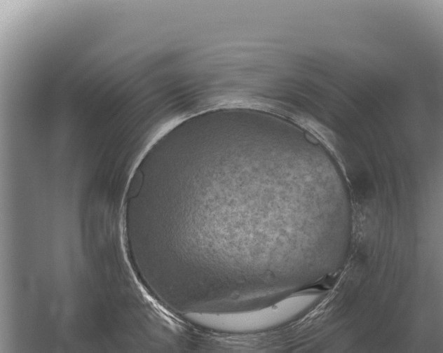 X0000059841048200510281819