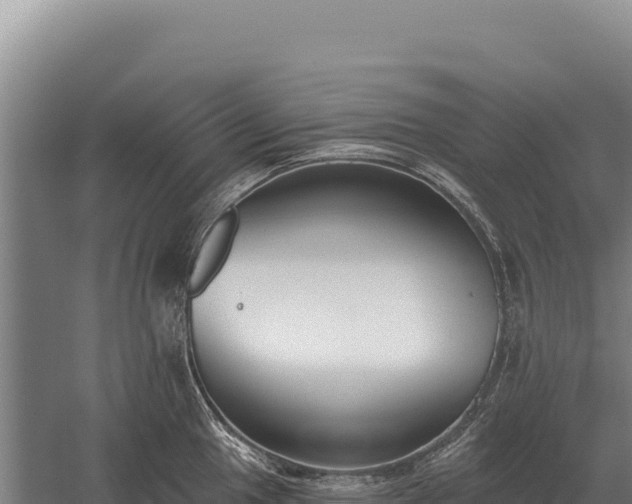 X0000059841049200510281819