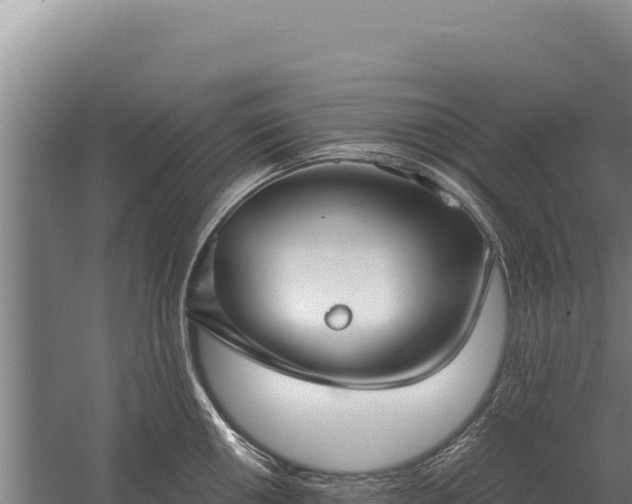 X0000059841050200510281819