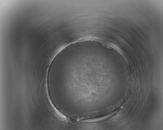 X0000059841055200510281819