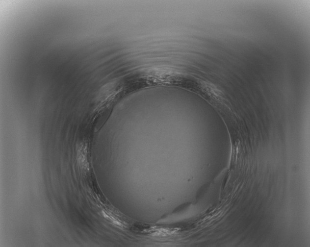 X0000059841060200510281818