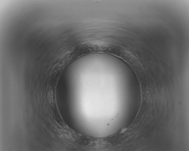 X0000059841061200510281818