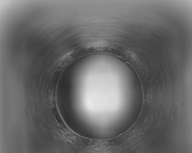 X0000059841062200510281818