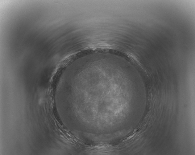 X0000059841063200510281818