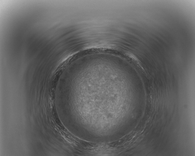 X0000059841064200510281818