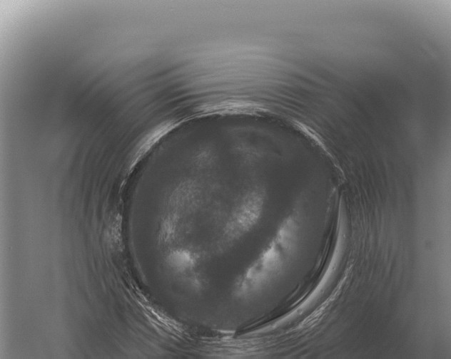 X0000059841066200510281818