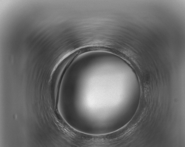 X0000059841069200510281818