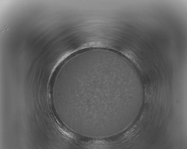 X0000059841070200510281818