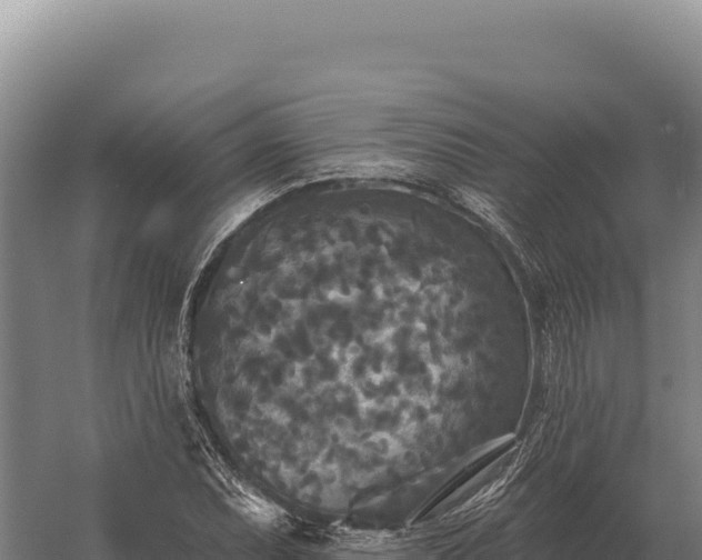 X0000059841071200510281818