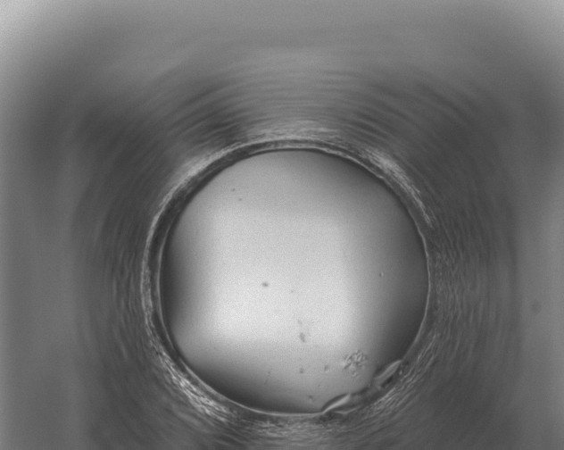 X0000059841072200510281818