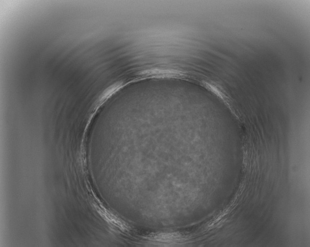 X0000059841074200510281818