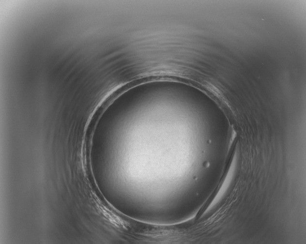 X0000059841076200510281818