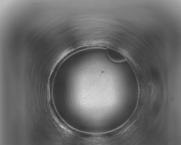 X0000059841079200510281818