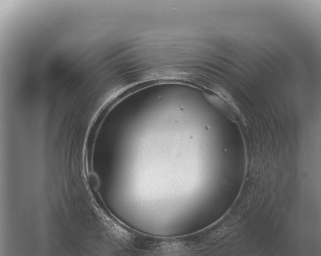 X0000059841080200510281818