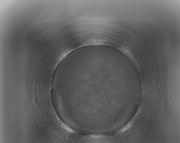 X0000059841081200510281818