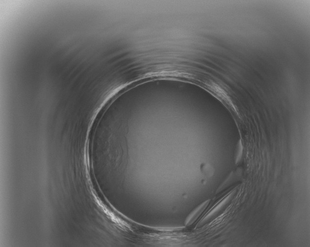 X0000059841084200510281818