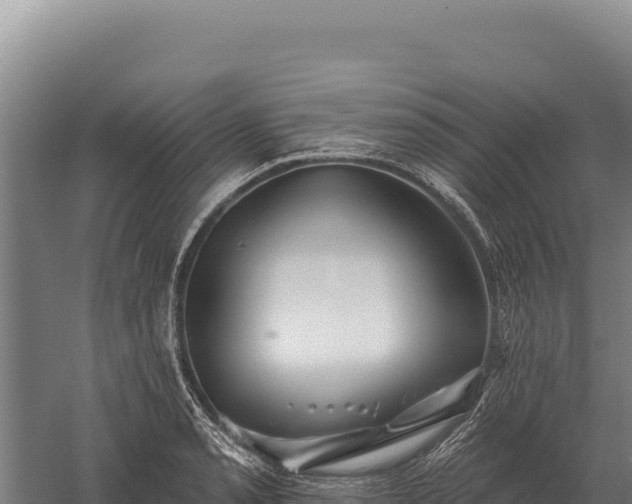 X0000059841085200510281818