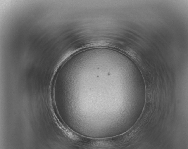 X0000059841086200510281818