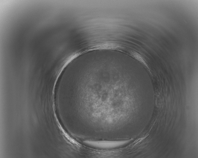 X0000059841087200510281818