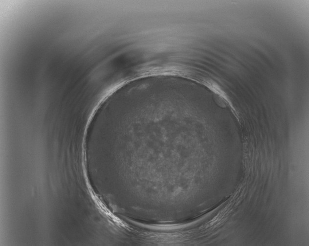 X0000059841088200510281818