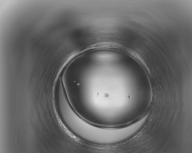 X0000059841091200510281818