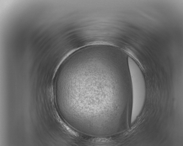 X0000059841092200510281818