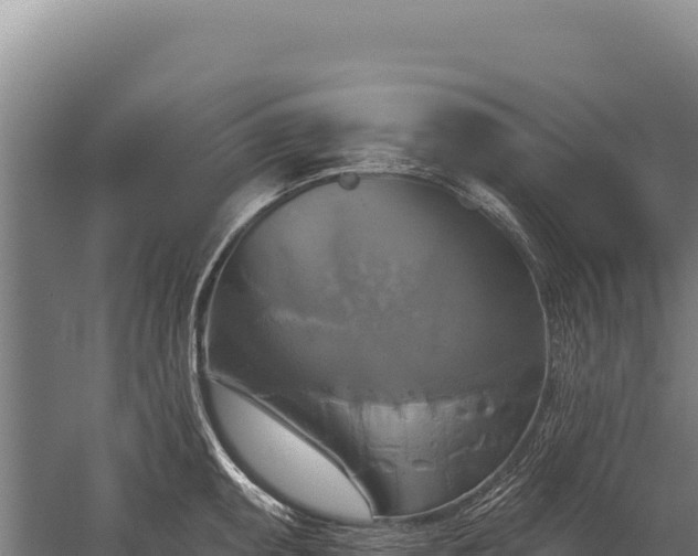 X0000059841095200510281818