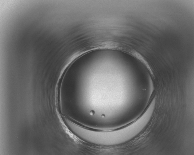 X0000059841099200510281818