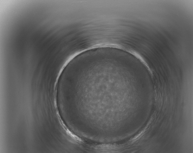 X0000059841102200510281818