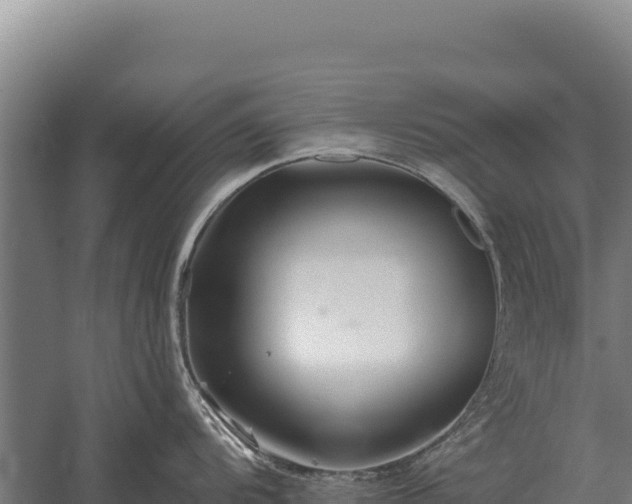 X0000059841104200510281818