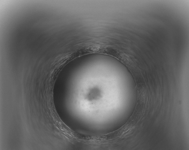 X0000059841105200510281817