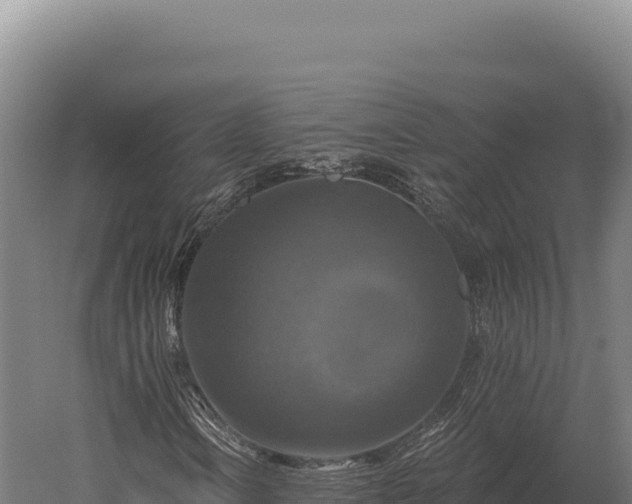 X0000059841106200510281817