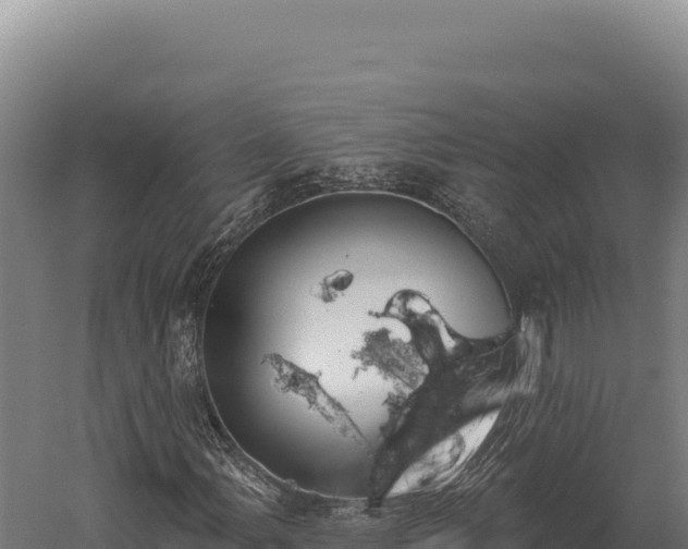 X0000059841107200510281817