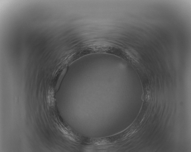 X0000059841108200510281817