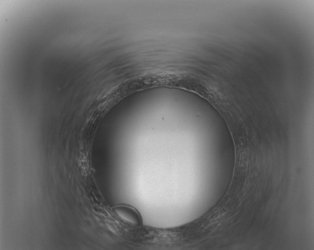 X0000059841109200510281817