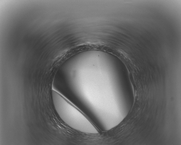 X0000059841110200510281817