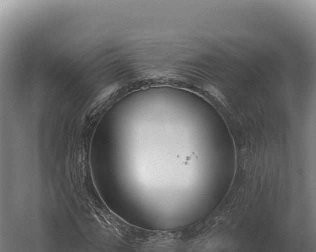 X0000059841111200510281817